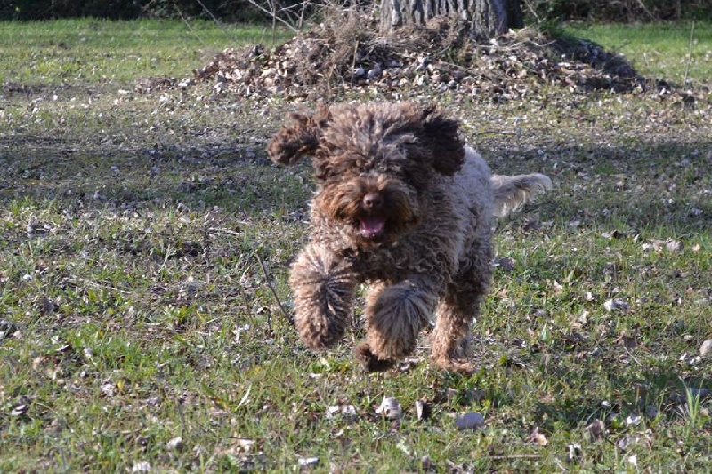 Publication : de la Victoire d'Urtie