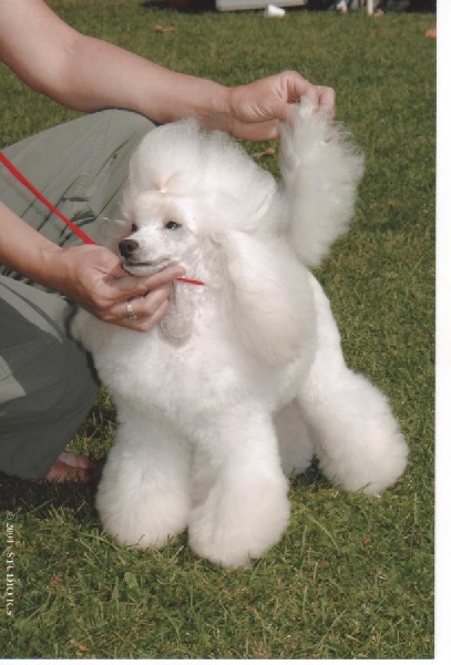 Publication : des brumes de Byzance