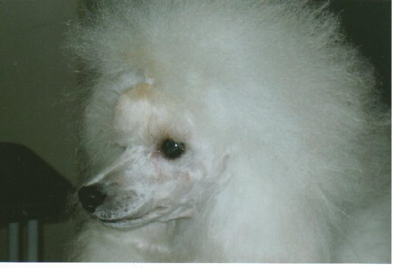 Publication : des brumes de Byzance