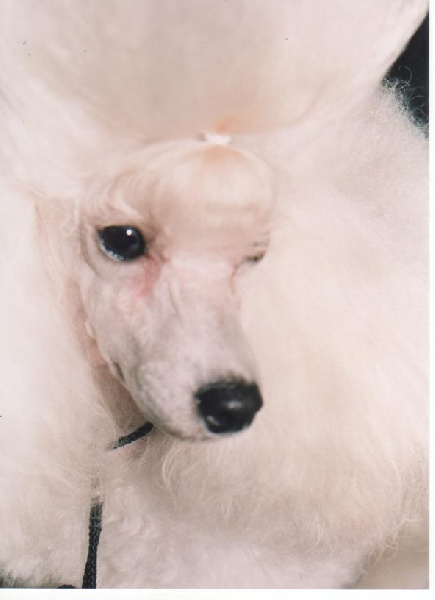 Publication : des brumes de Byzance