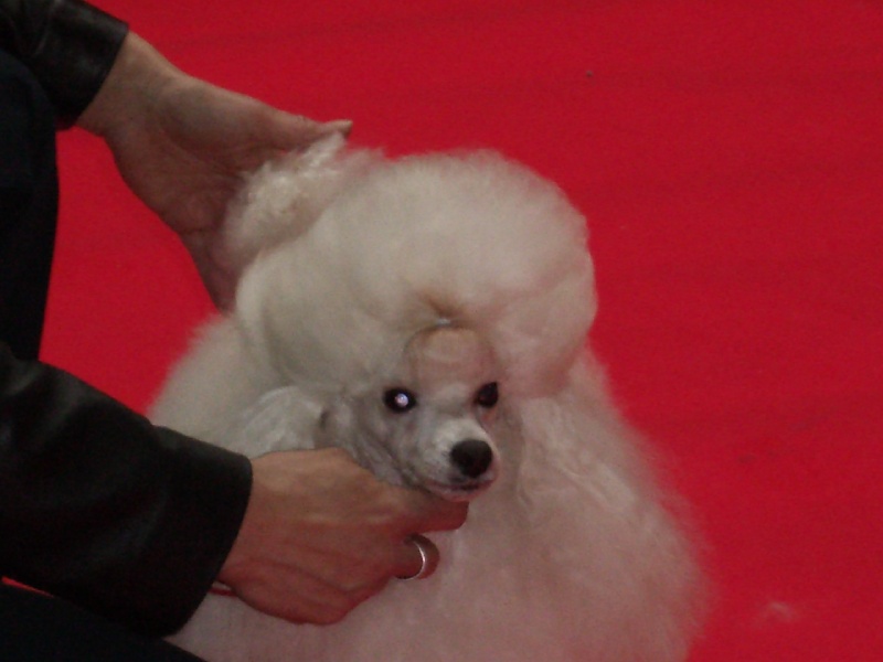 Publication : des brumes de Byzance