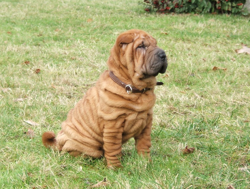 CH. Escape on the rock des Chandagueres