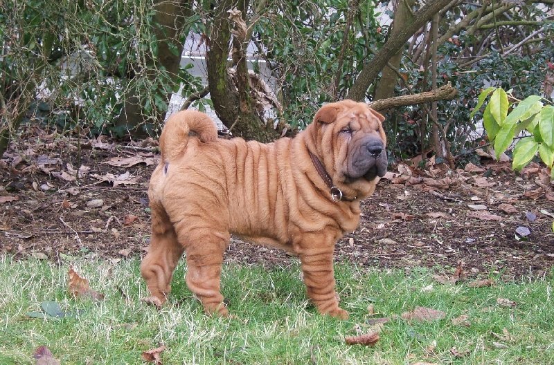 CH. Escape on the rock des Chandagueres