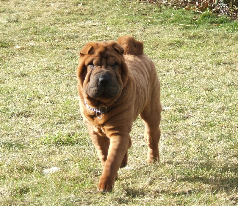 CH. Escape on the rock des Chandagueres