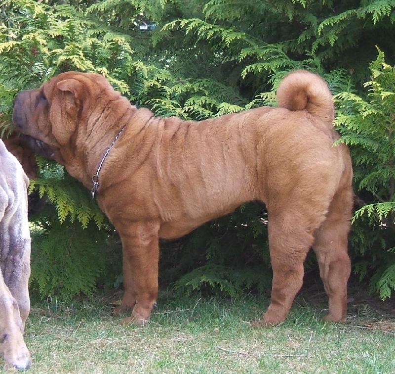 CH. Escape on the rock des Chandagueres