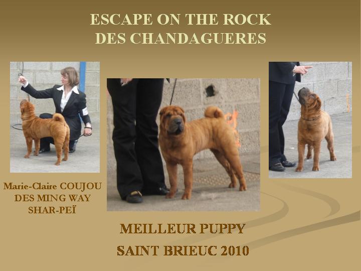 CH. Escape on the rock des Chandagueres