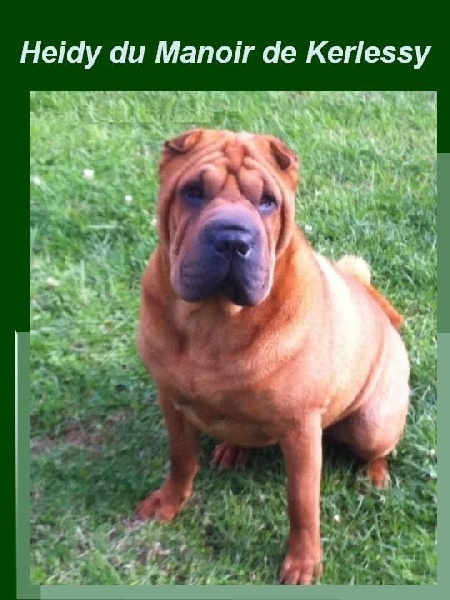 Publication : des Ming Way