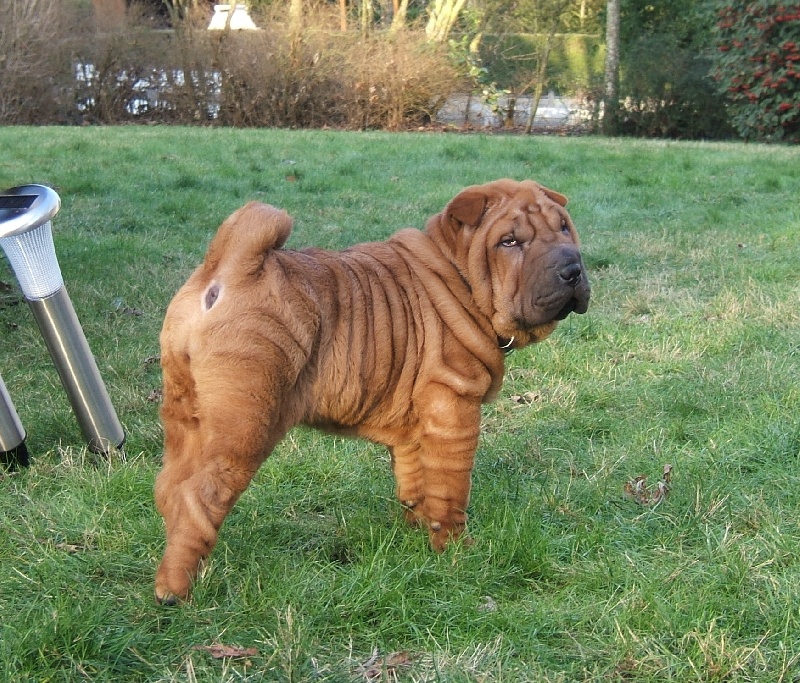 CH. Escape on the rock des Chandagueres