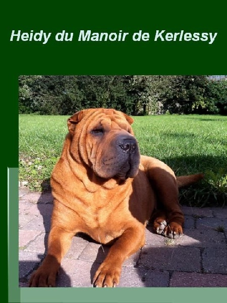 Publication : des Ming Way