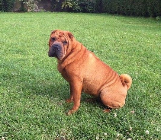 Publication : des Ming Way