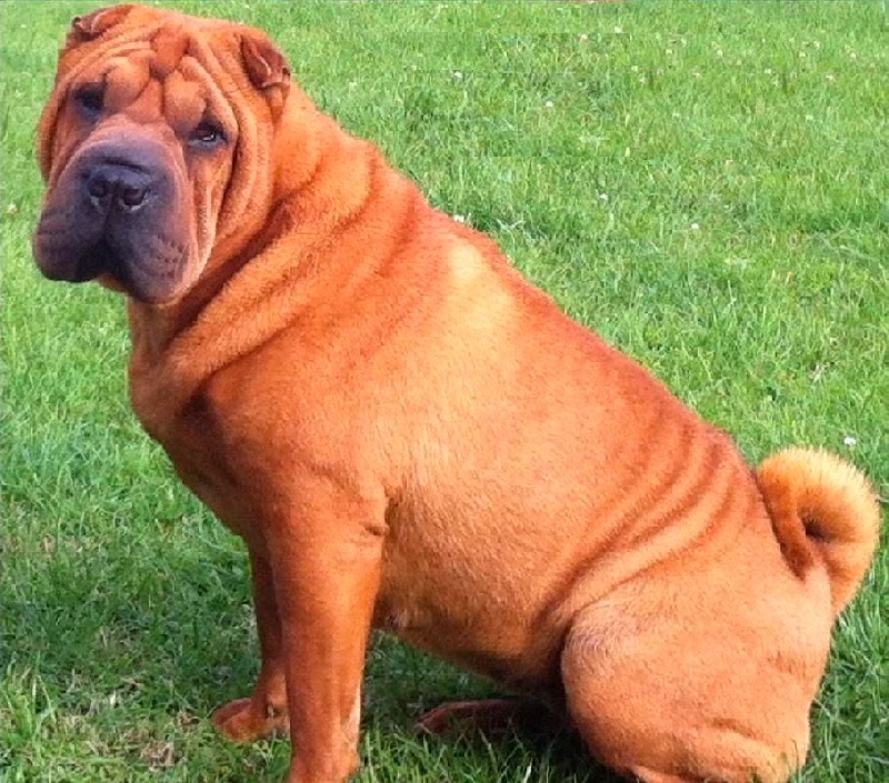 Publication : des Ming Way