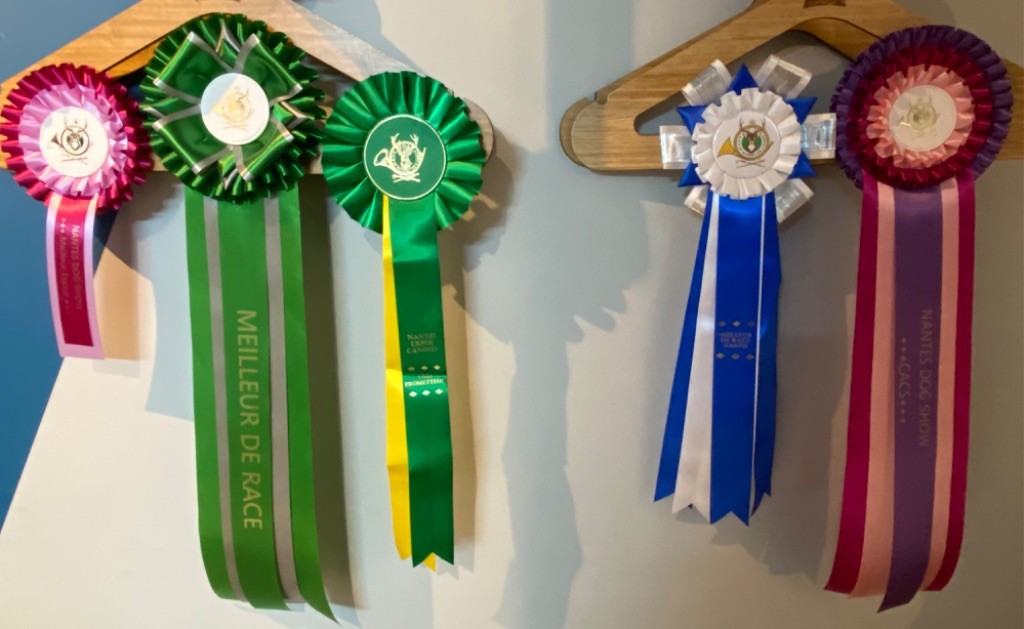 Unstoppable today des Ming Way - Meilleur Puppy de race