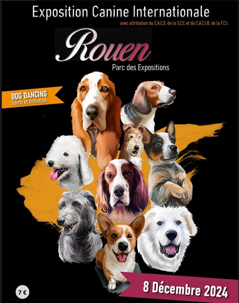 Unstoppable today des Ming Way - RCACS RCACIB