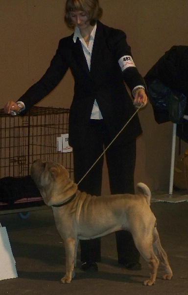 Chamade des Ming Way - 3 ÈME EXCELLENT