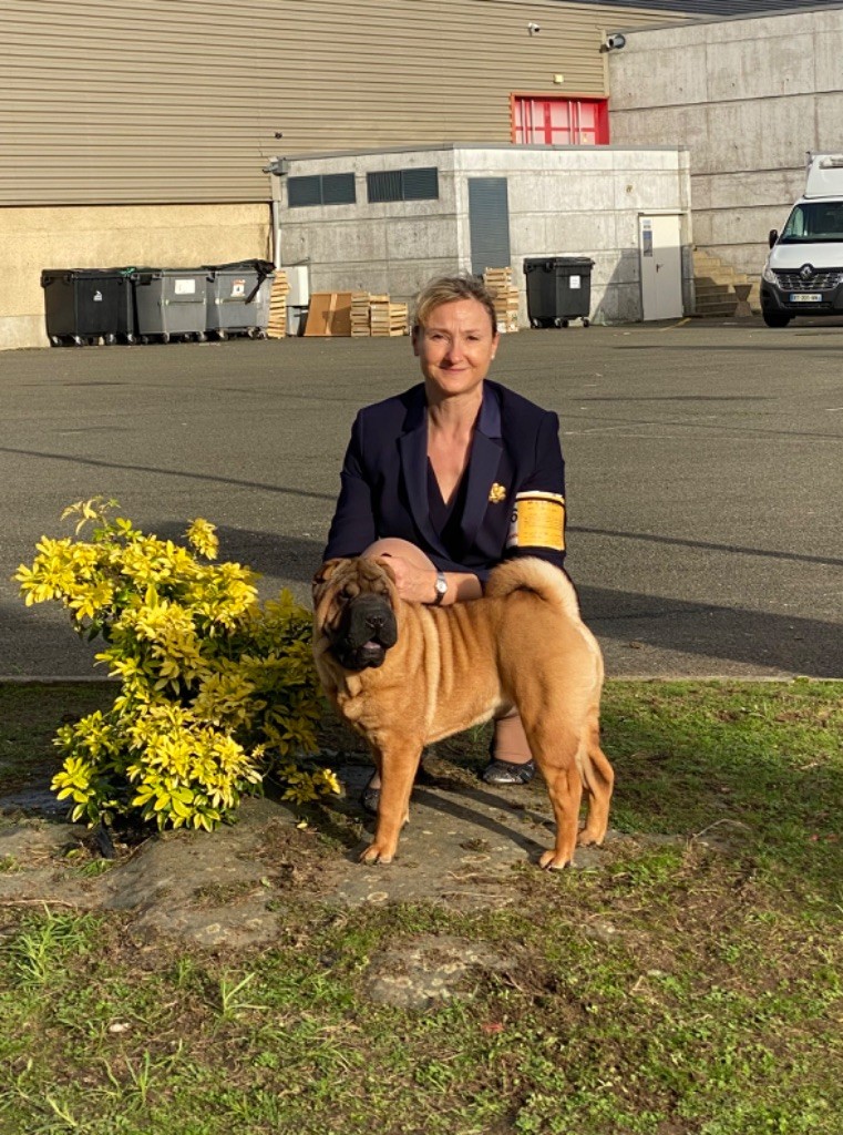 Unstoppable today des Ming Way - Meilleur baby de race