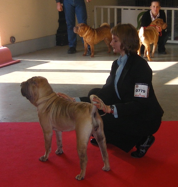 Chamade des Ming Way - 4 ème JEUNE FEMELLE