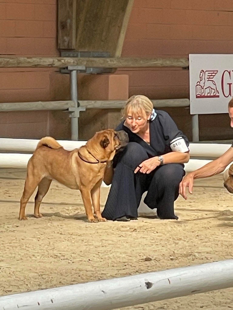 Unstoppable today des Ming Way - 3ème EXCELLENT CLASSE INTERMÉDIAIRE