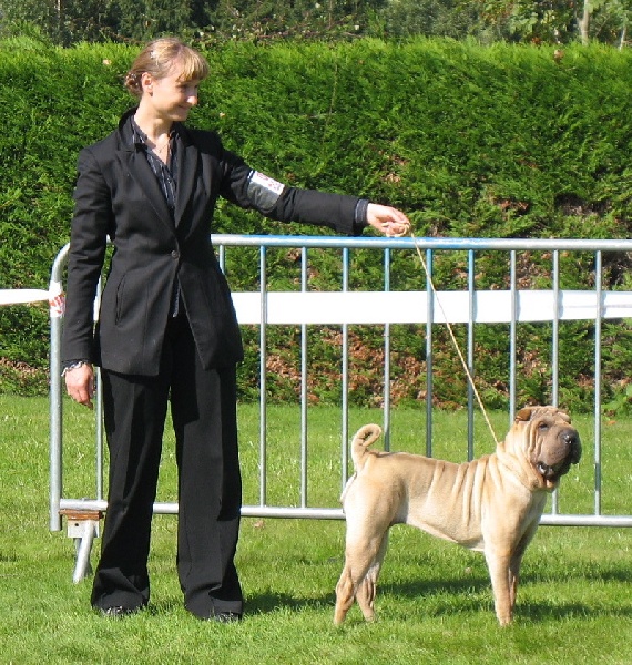 Chamade des Ming Way - NON CLASSÉE