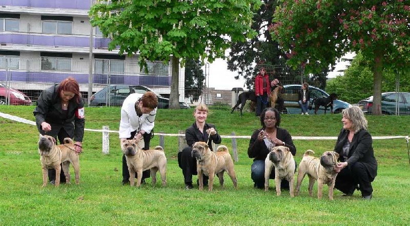 Chamade des Ming Way - Meilleur Lot d'élevage et catégorie élevage