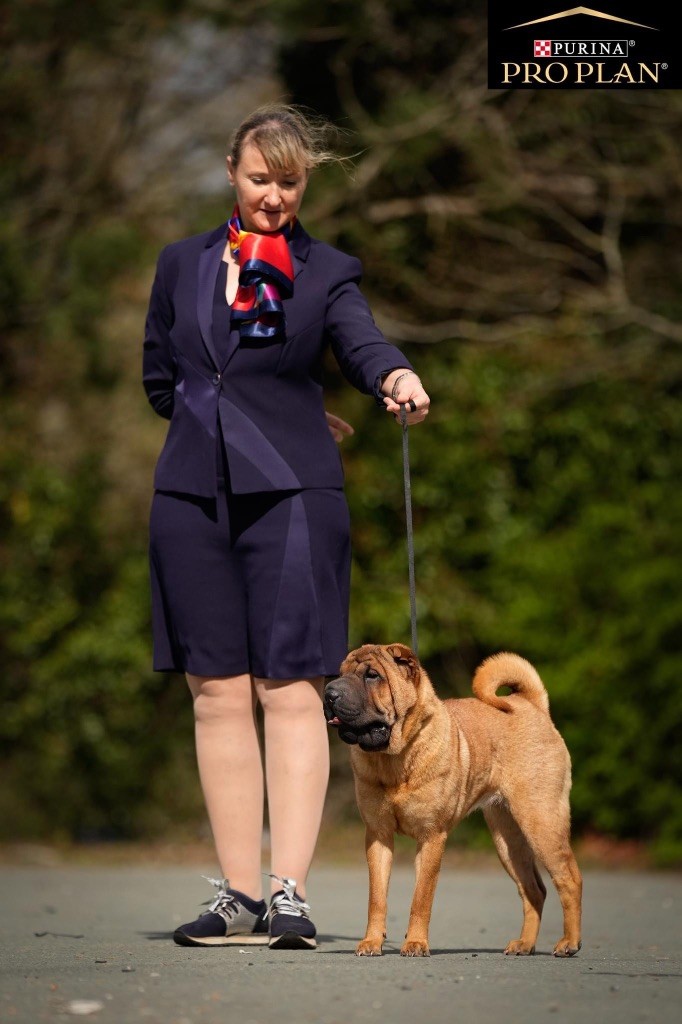 Unstoppable today des Ming Way - CACJ