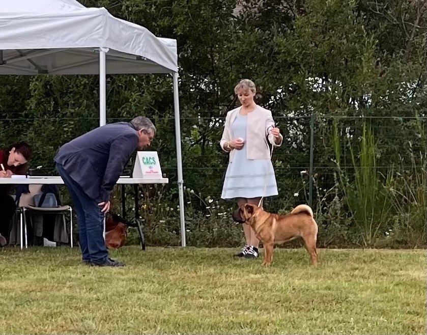 Unstoppable today des Ming Way - CACS-J