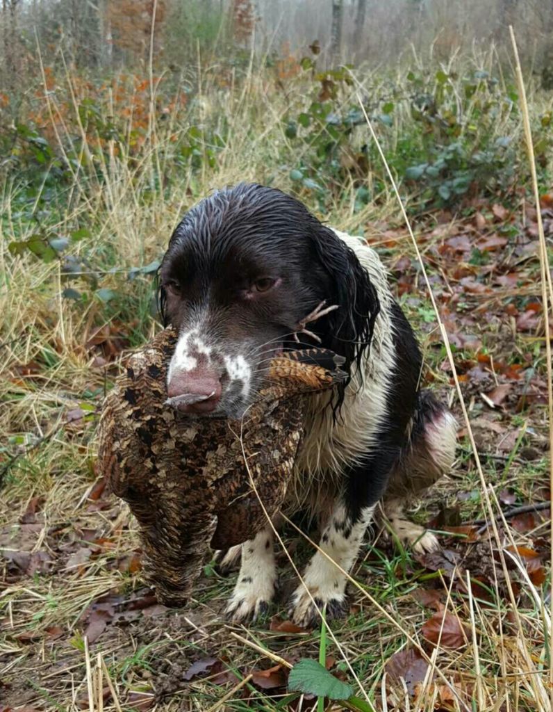 Publication : du clos Picavet Auteur : Debril A