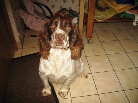 Publication : du clos Picavet Auteur : Raphaêl