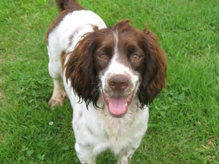 Publication : du clos Picavet Auteur : Raphaêl