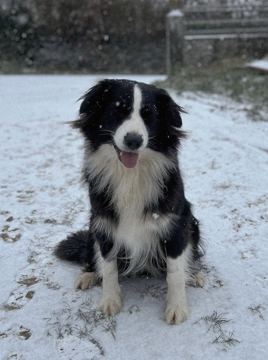 Ulcia Du Domaine Des Calices De Lumiere