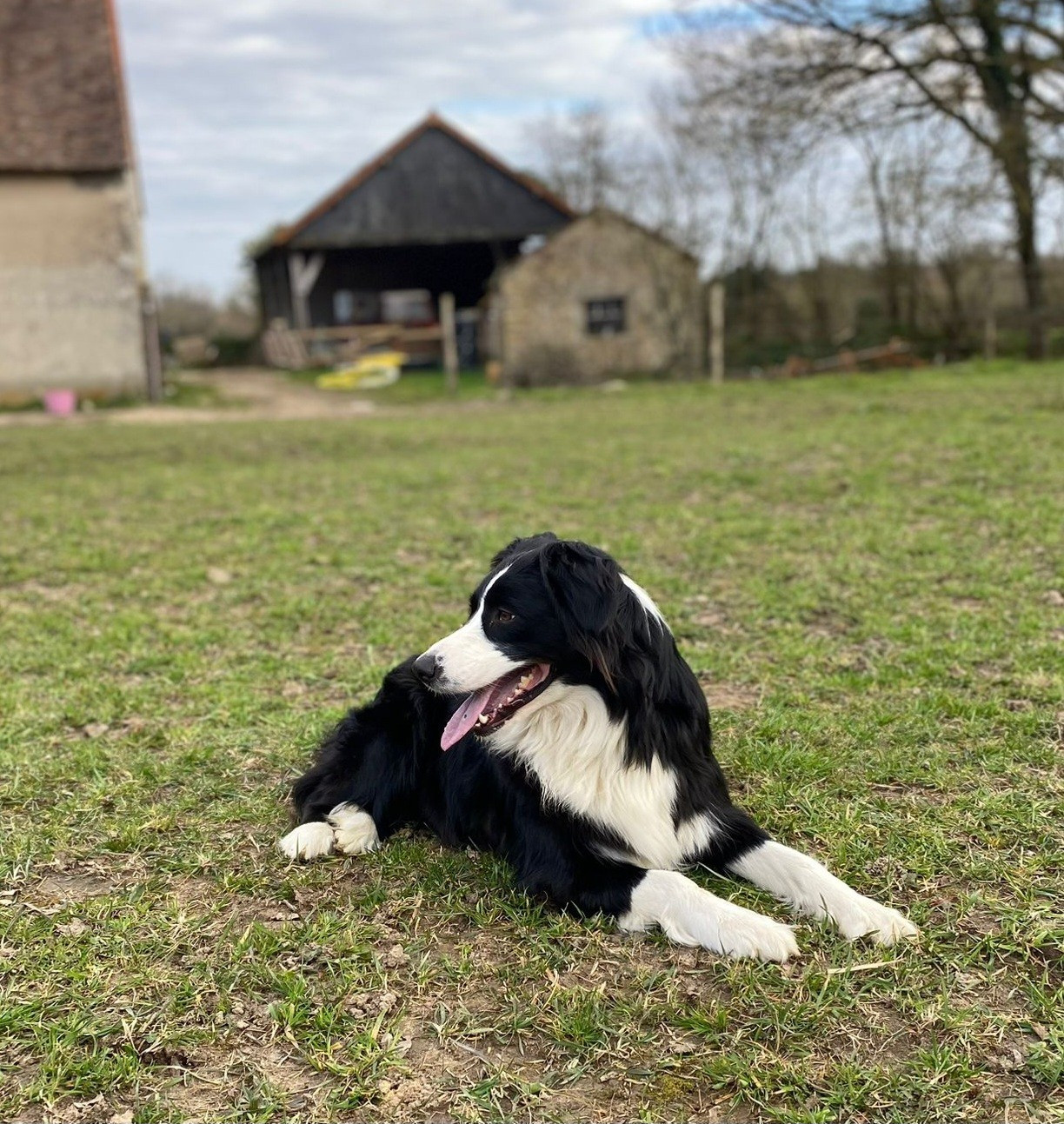 Ulcia Du Domaine Des Calices De Lumiere