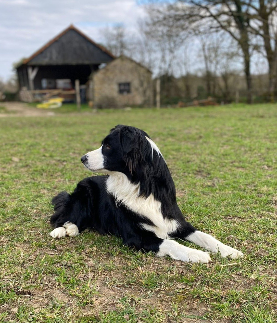 Ulcia Du Domaine Des Calices De Lumiere