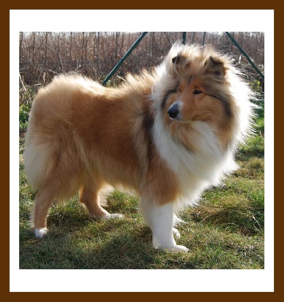 Publication : des plaines d'Alexoanne