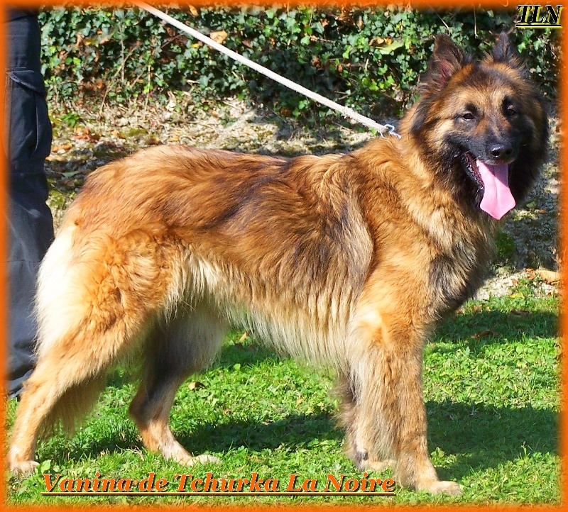 Publication : de Tchurka La Noire