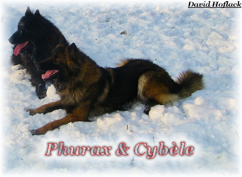 Publication : de Tchurka La Noire Auteur : David Hoflack