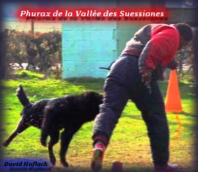 Publication : de Tchurka La Noire Auteur : David Hoflack