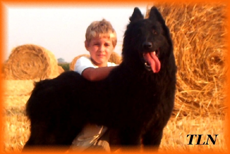 Publication : de Tchurka La Noire Auteur : David Hoflack