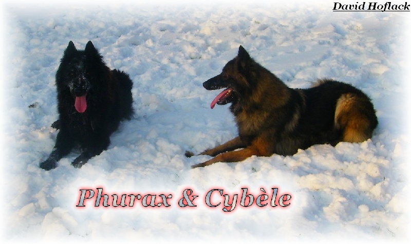 Publication : de Tchurka La Noire Auteur : David Hoflack