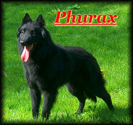 Publication : de Tchurka La Noire Auteur : David Hoflack