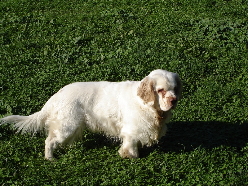 Publication : de la Fontaine Molière