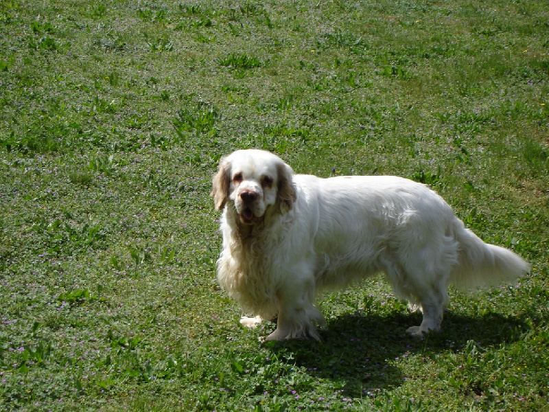 Publication : de la Fontaine Molière