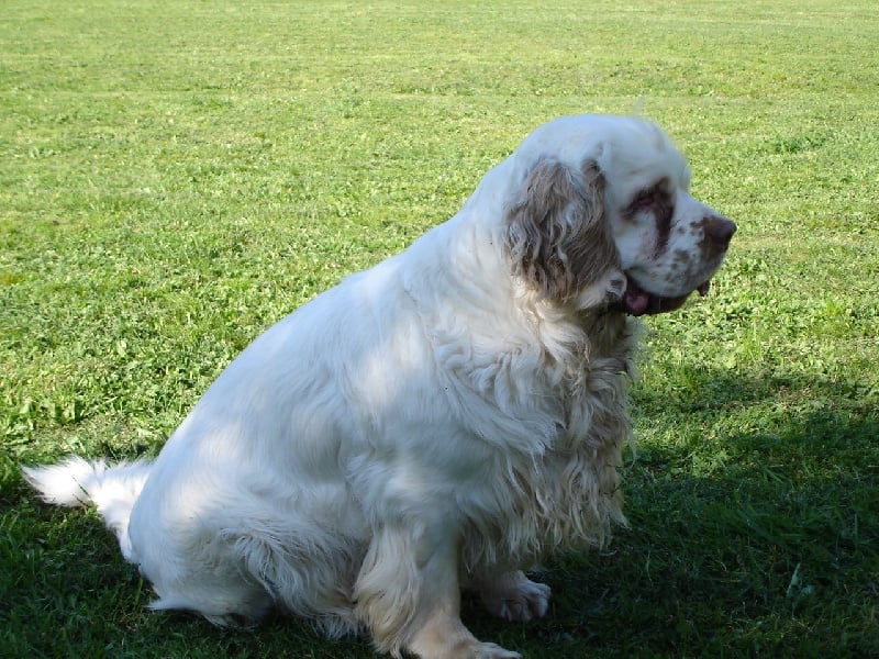 Publication : de la Fontaine Molière