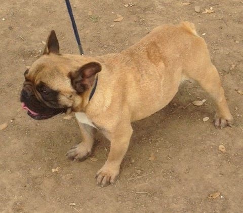 Publication : des brumes de la citadelle Auteur : c.aspar