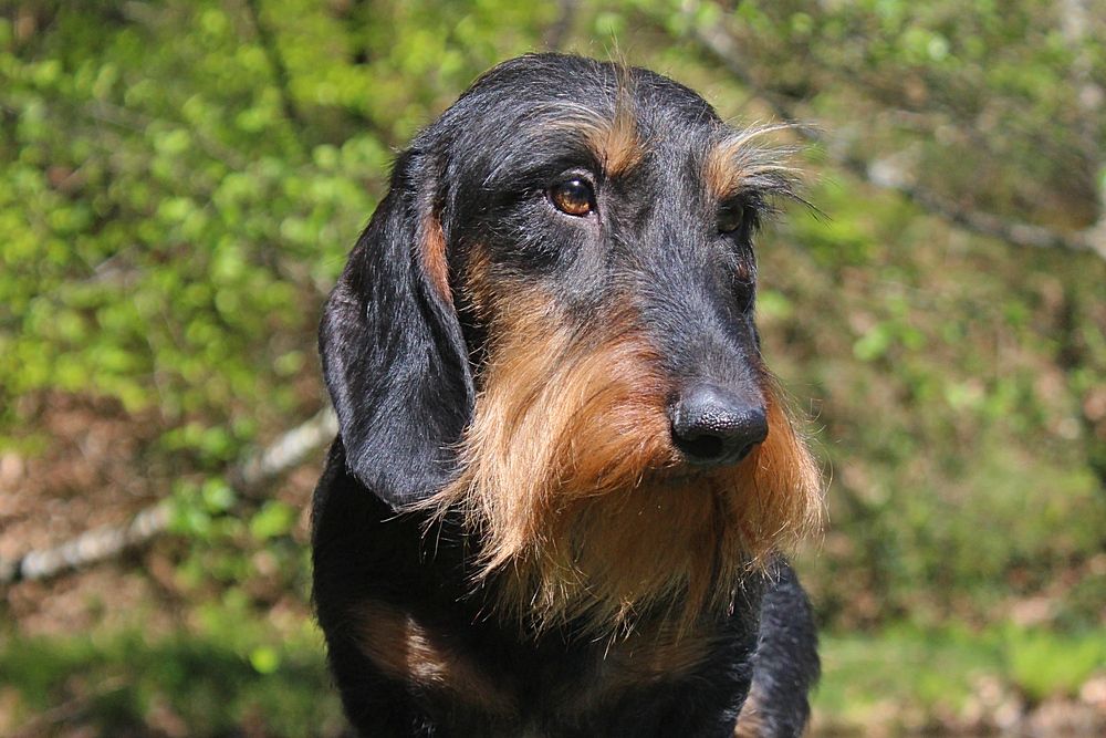 Publication : des plaines de Valinor