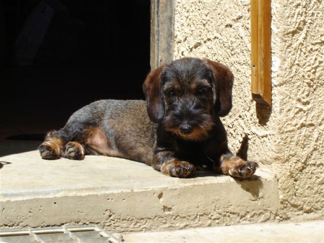 Publication : des plaines de Valinor