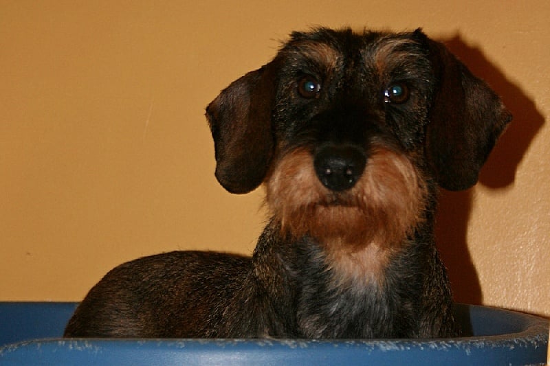 Publication : des plaines de Valinor