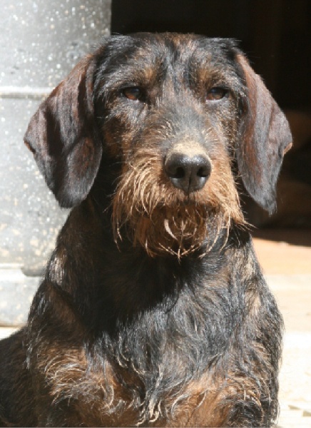 Publication : des plaines de Valinor