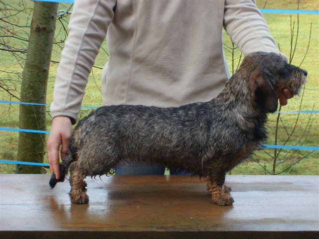 Publication : des plaines de Valinor