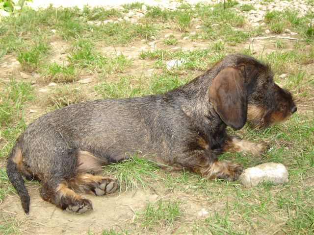 Publication : des plaines de Valinor