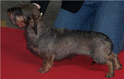 Publication : des plaines de Valinor