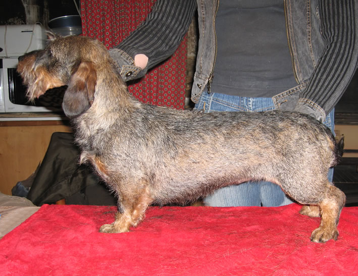 Publication : des plaines de Valinor